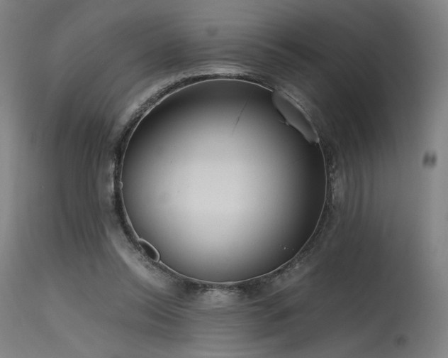 X0000115640350200911101521