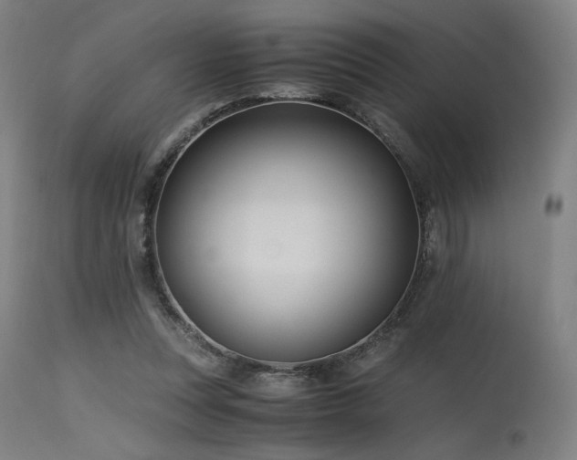 X0000115640351200911101521