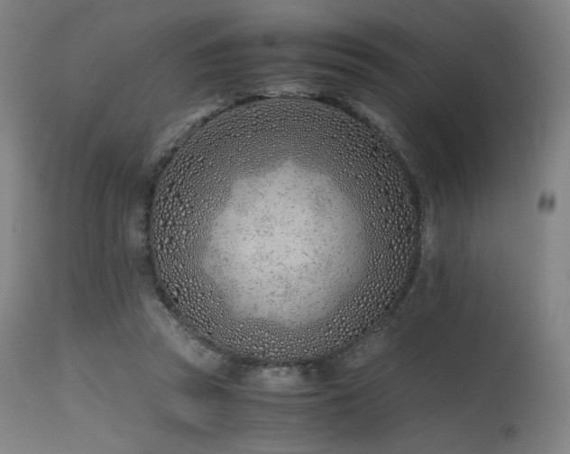 X0000115640353200911101521
