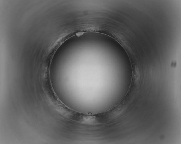 X0000115640355200911101521