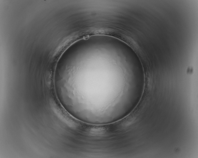 X0000115640357200911101521