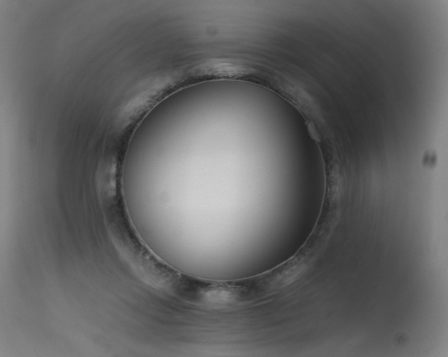 X0000115640358200911101521