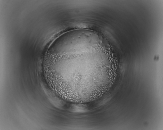 X0000115640359200911101521