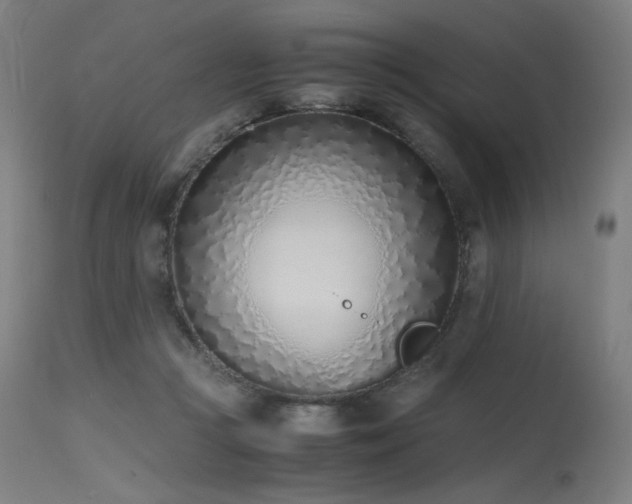X0000115640361200911101521