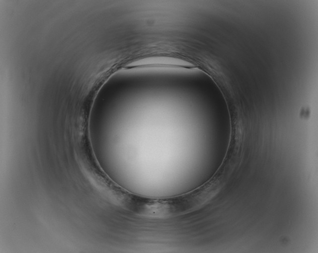 X0000115640362200911101521