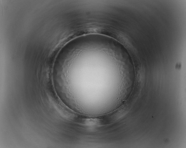 X0000115640363200911101521