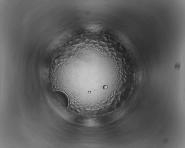 X0000115640365200911101521