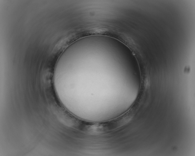 X0000115640366200911101521