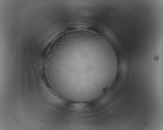 X0000115640367200911101521
