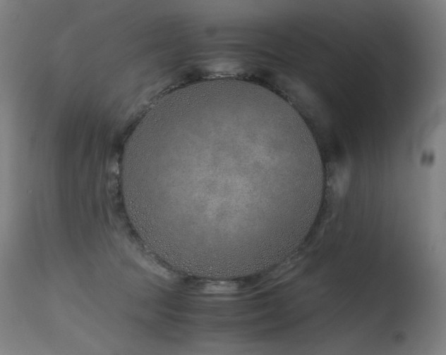 X0000115640369200911101521