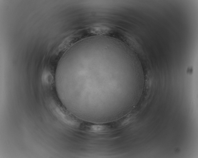 X0000115640371200911101521