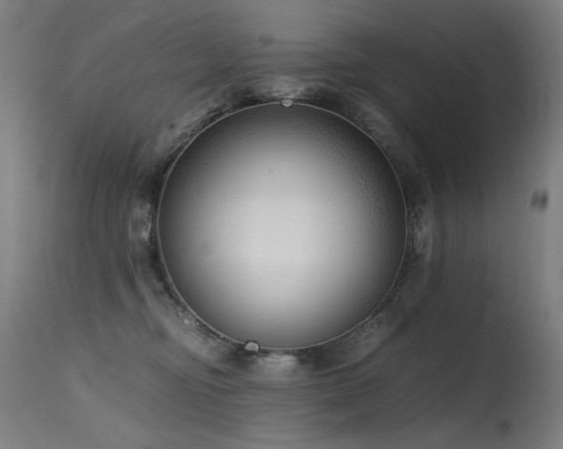 X0000115640374200911101521