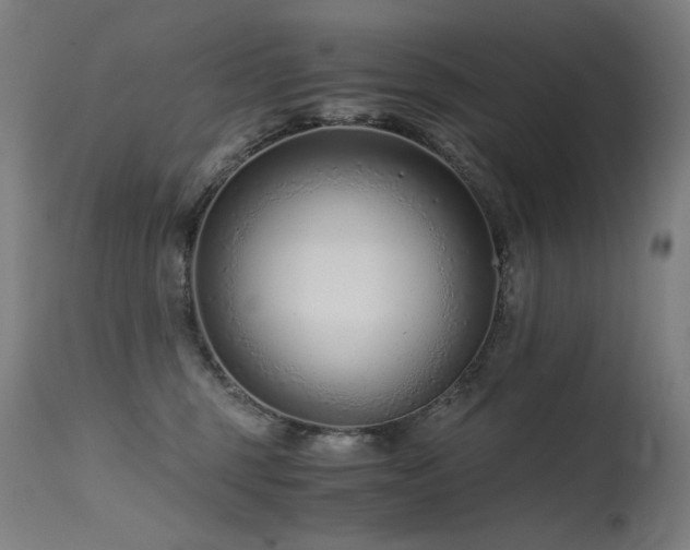 X0000115640375200911101521