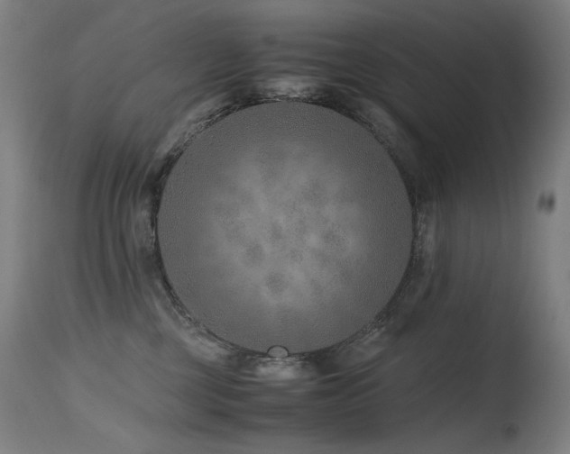 X0000115640377200911101522
