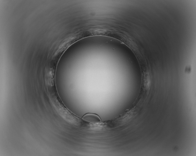 X0000115640378200911101522