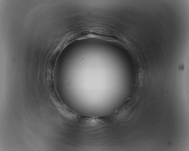 X0000115640379200911101522