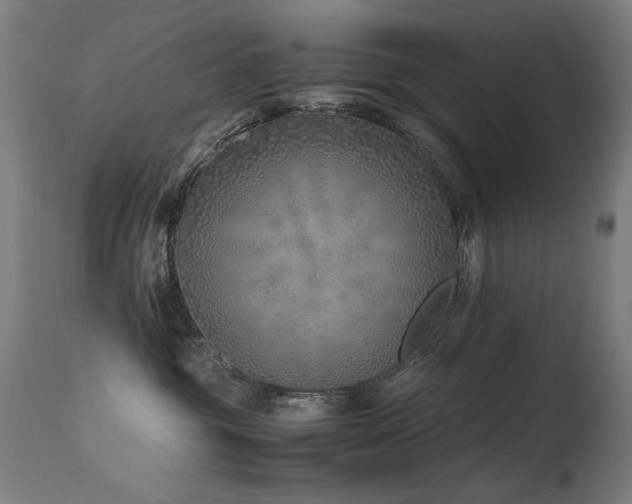X0000115640381200911101522