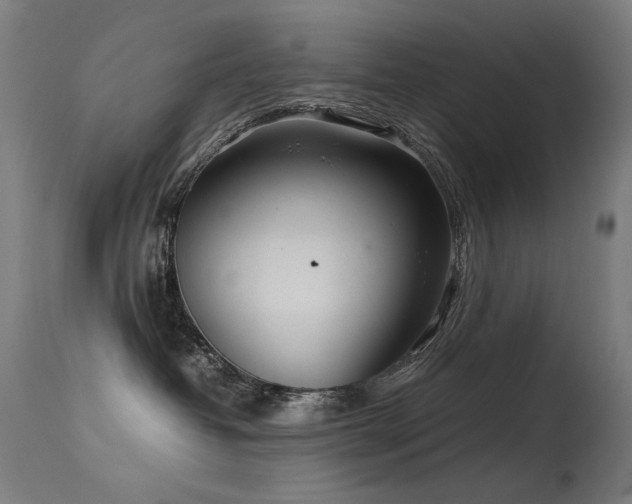 X0000115640382200911101522