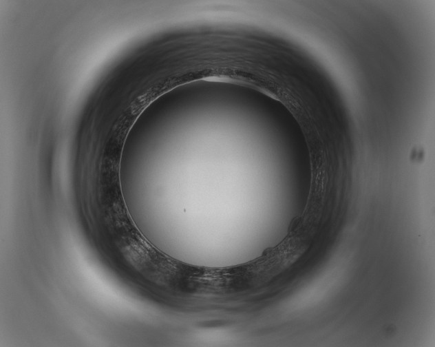 X0000115640383200911101522