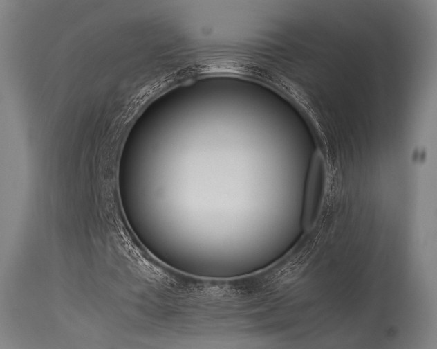 X0000115640385200911101521
