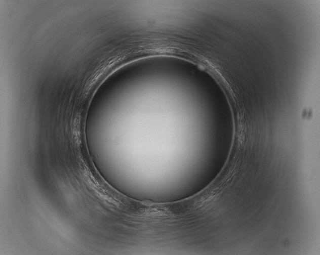 X0000115640386200911101521