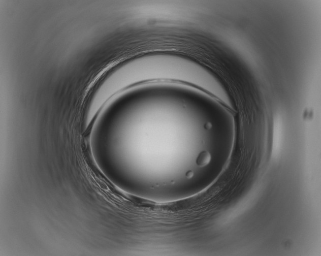 X0000115640387200911101521