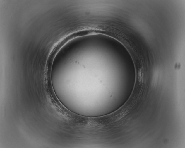 X0000115640388200911101521