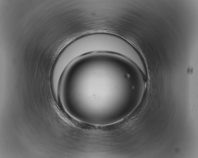 X0000115640389200911101521