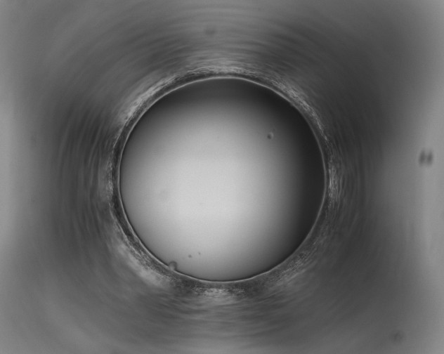 X0000115640390200911101521