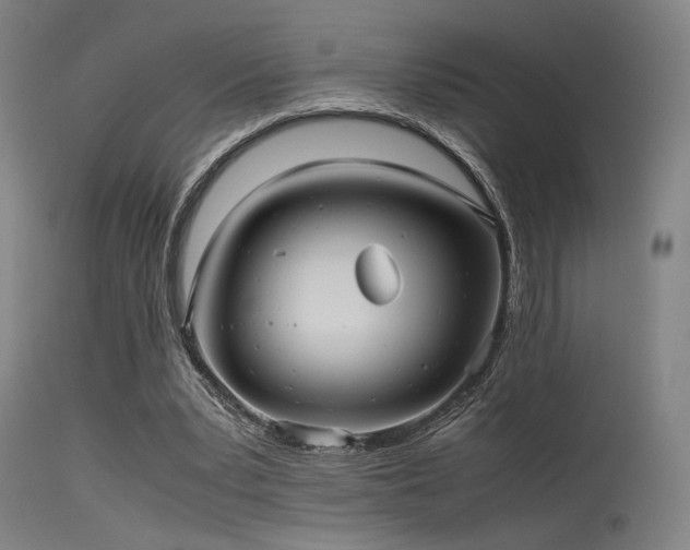 X0000115640391200911101521