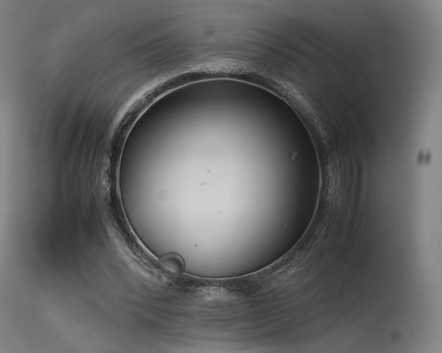 X0000115640392200911101521