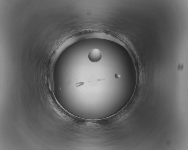 X0000115640393200911101521