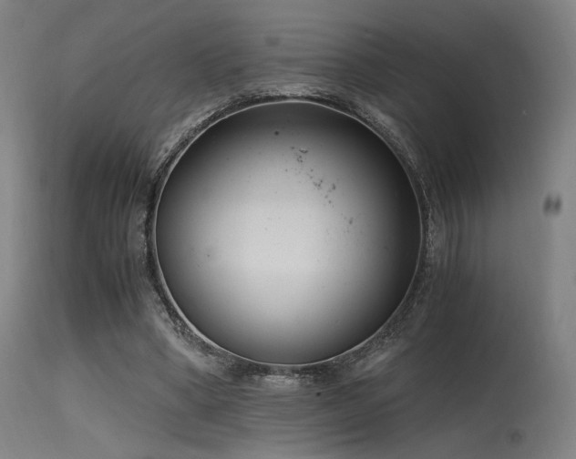 X0000115640394200911101521