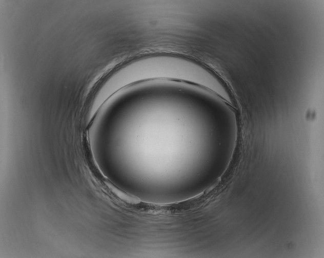 X0000115640395200911101521