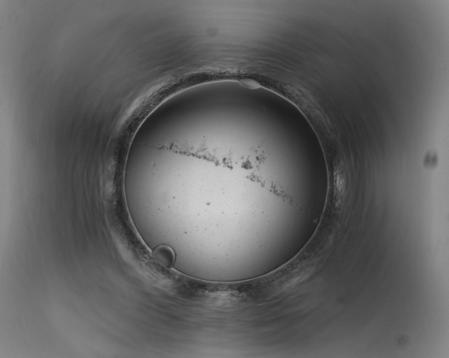X0000115640396200911101521