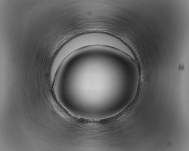 X0000115640397200911101521