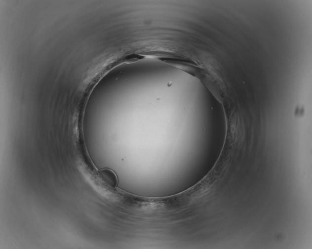 X0000115640398200911101521