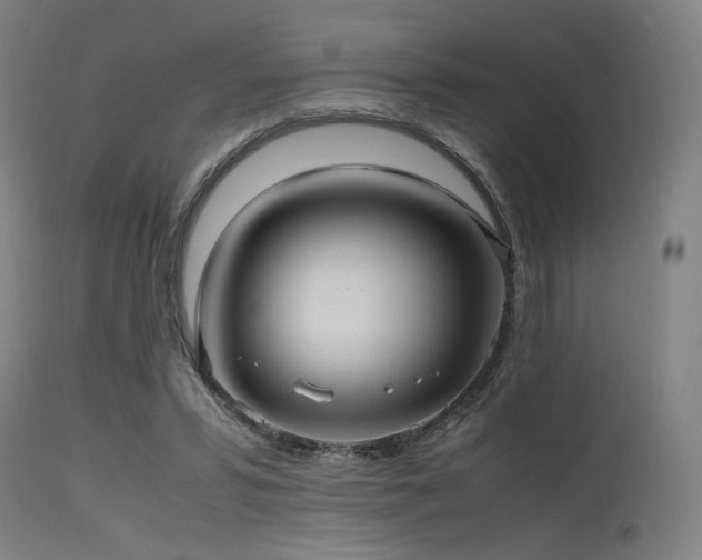 X0000115640399200911101521