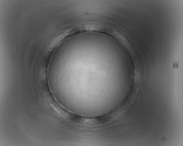 X0000115640401200911101521