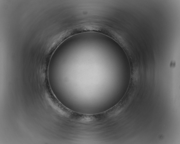 X0000115640402200911101521