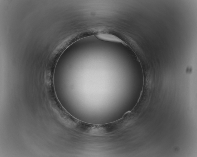 X0000115640403200911101521