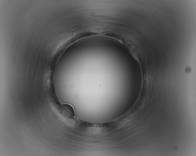 X0000115640404200911101521