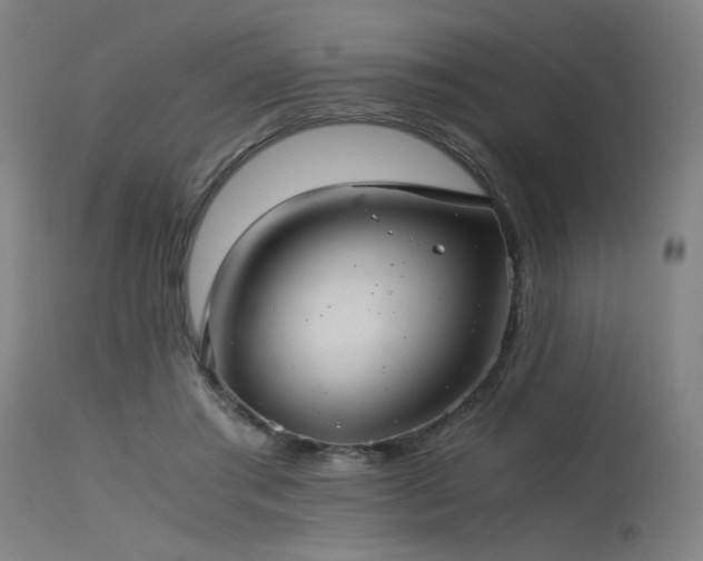 X0000115640405200911101521