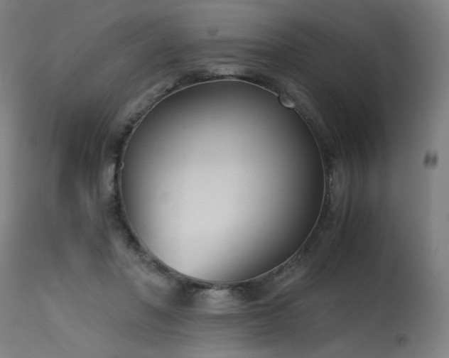 X0000115640406200911101521
