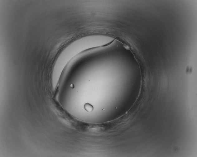 X0000115640407200911101521