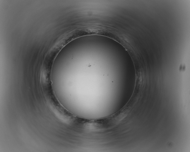 X0000115640408200911101521