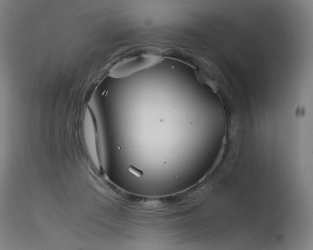 X0000115640409200911101521