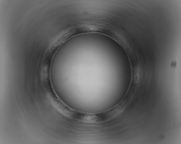 X0000115640410200911101521