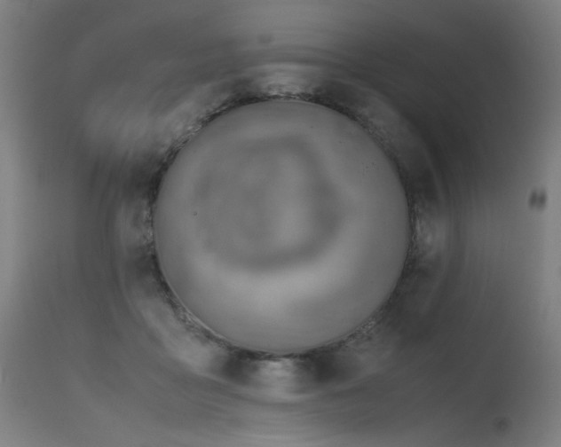 X0000115640411200911101521