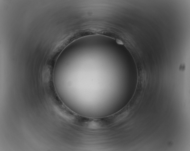 X0000115640412200911101521